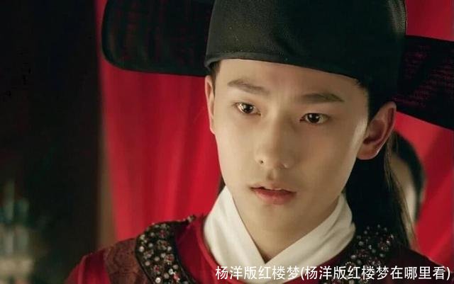 杨洋版红楼梦(杨洋版红楼梦在哪里看)