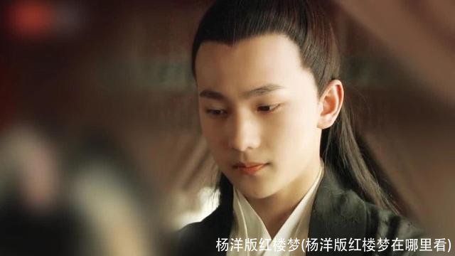 杨洋版红楼梦(杨洋版红楼梦在哪里看)