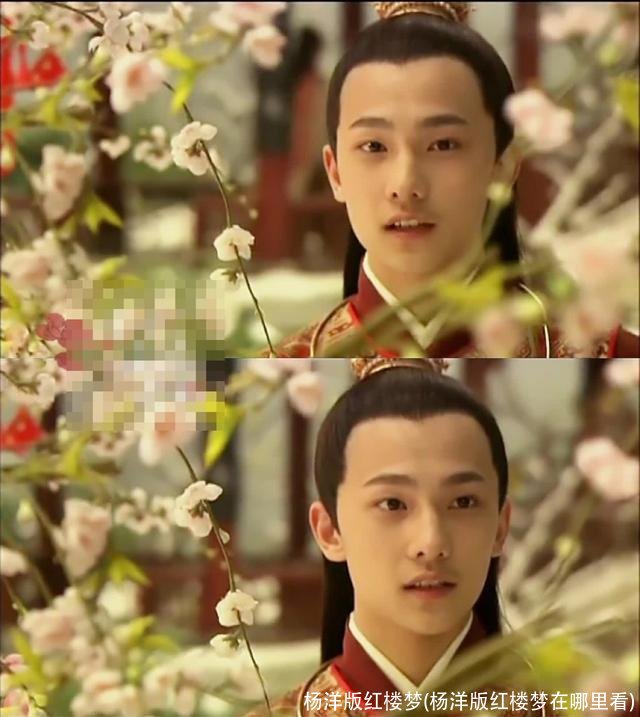 杨洋版红楼梦(杨洋版红楼梦在哪里看)