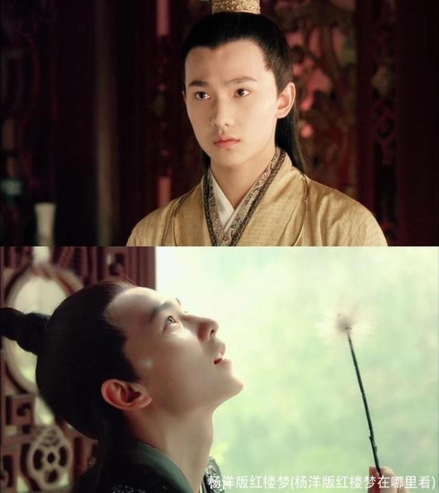 杨洋版红楼梦(杨洋版红楼梦在哪里看)