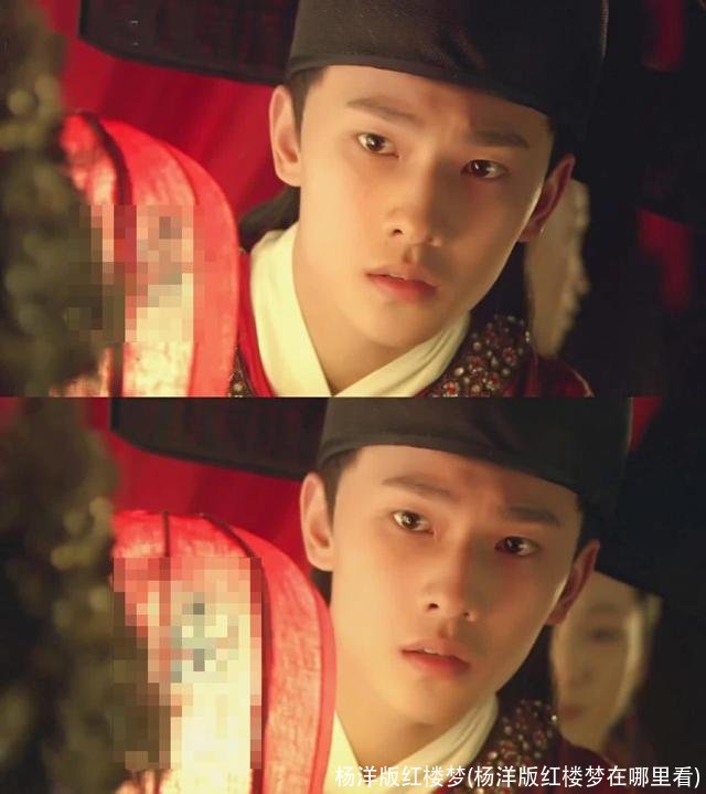 杨洋版红楼梦(杨洋版红楼梦在哪里看)