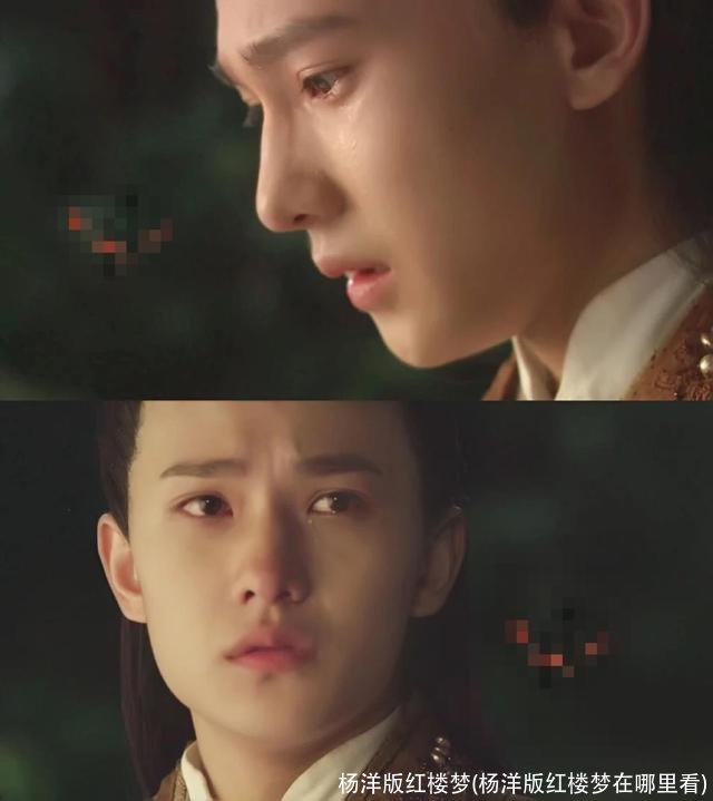 杨洋版红楼梦(杨洋版红楼梦在哪里看)