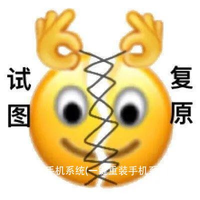 一键重装手机系统(一键重装手机系统软件下载)