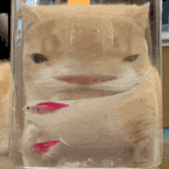 一键重装手机系统(一键重装手机系统软件下载)