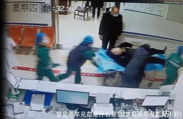 梦见杀羊见血是什么意思(梦见杀羊见血好不好)