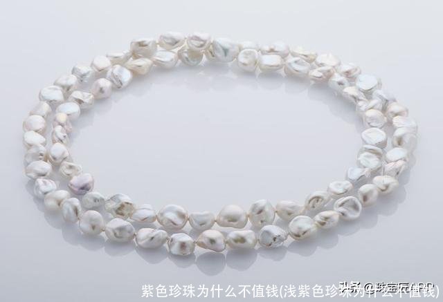 紫色珍珠为什么不值钱(浅紫色珍珠为什么不值钱)