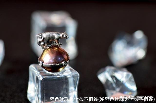 紫色珍珠为什么不值钱(浅紫色珍珠为什么不值钱)