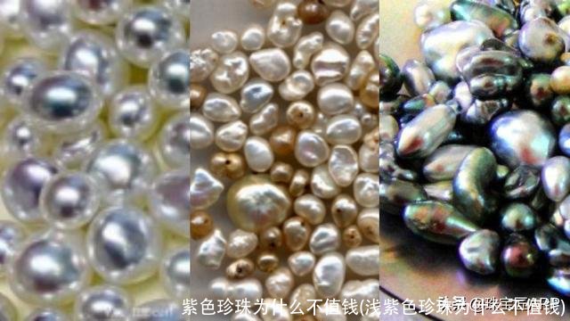 紫色珍珠为什么不值钱(浅紫色珍珠为什么不值钱)