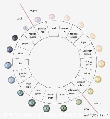 紫色珍珠为什么不值钱(浅紫色珍珠为什么不值钱)