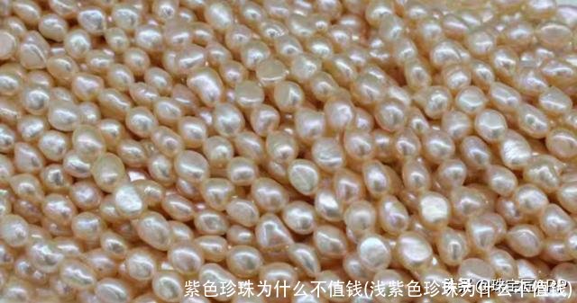 紫色珍珠为什么不值钱(浅紫色珍珠为什么不值钱)