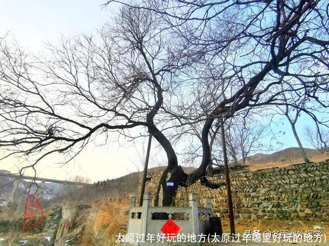 太原过年好玩的地方(太原过年哪里好玩的地方)