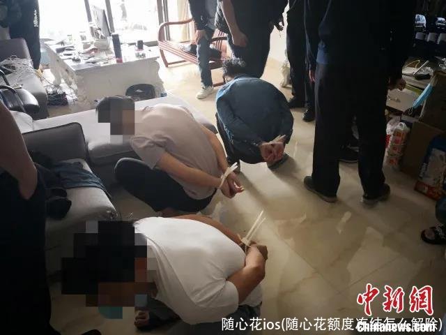 随心花ios(随心花额度冻结怎么解除)