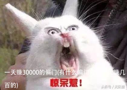 一天赚30000的偏门(有什么偏门可以一天赚几百的)