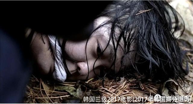 韩国三级2017电影(2017年韩国高分电影)