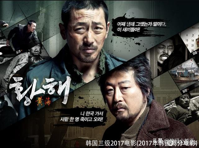 韩国三级2017电影(2017年韩国高分电影)