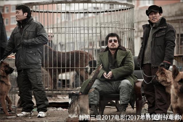 韩国三级2017电影(2017年韩国高分电影)