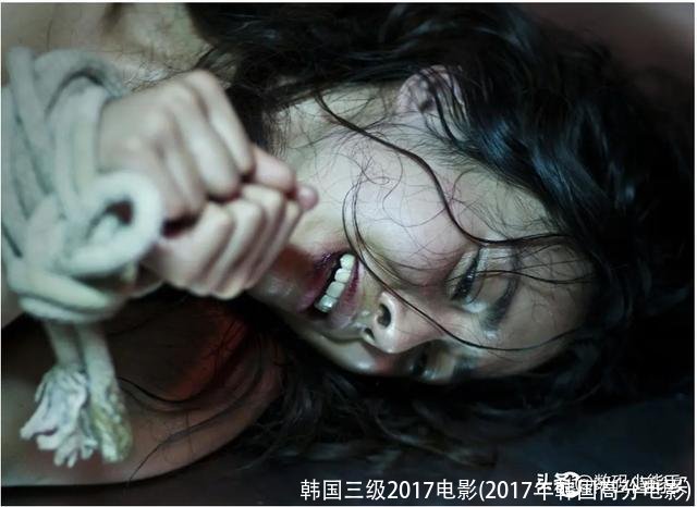 韩国三级2017电影(2017年韩国高分电影)