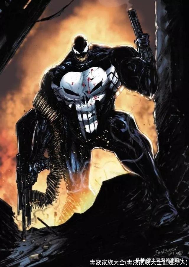 毒液家族大全(毒液家族大全谁是好人)