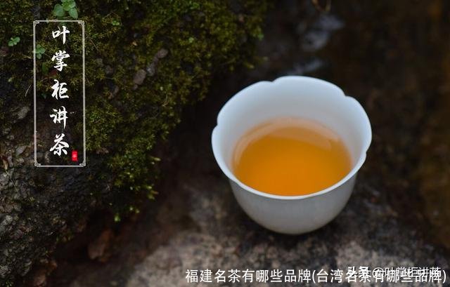 福建名茶有哪些品牌(台湾名茶有哪些品牌)