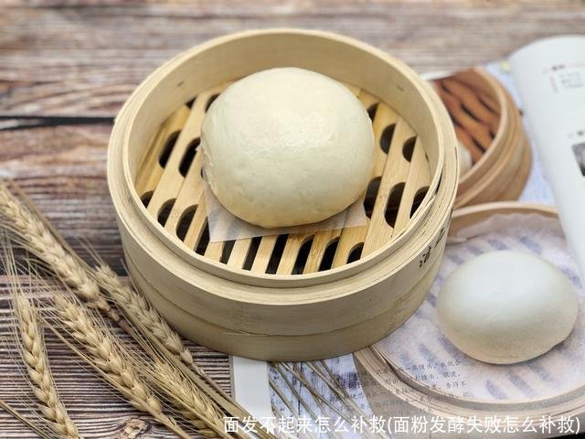 面发不起来怎么补救(面粉发酵失败怎么补救)