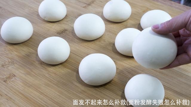 面发不起来怎么补救(面粉发酵失败怎么补救)