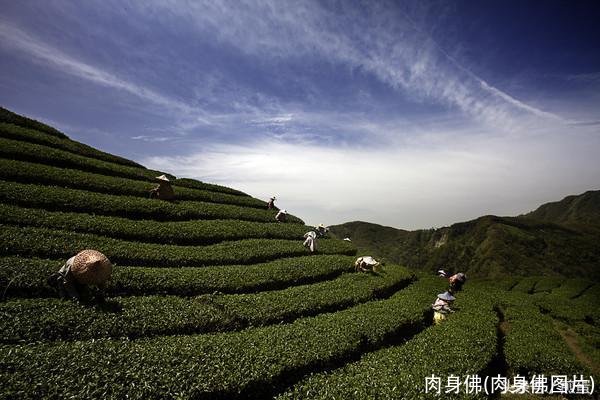 肉身佛(肉身佛图片)