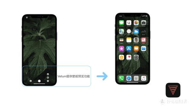 苹果勿扰模式别人打电话提示什么(苹果的勿扰模式打电话过去会怎样)