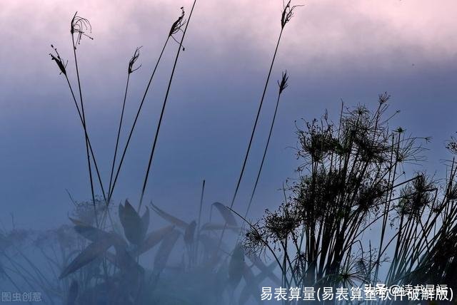 易表算量(易表算量软件破解版)