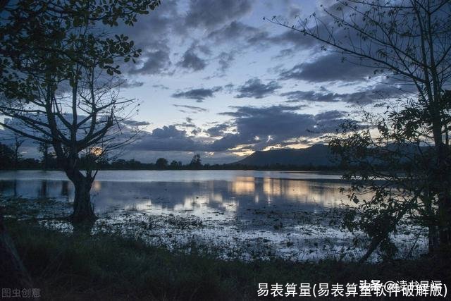 易表算量(易表算量软件破解版)