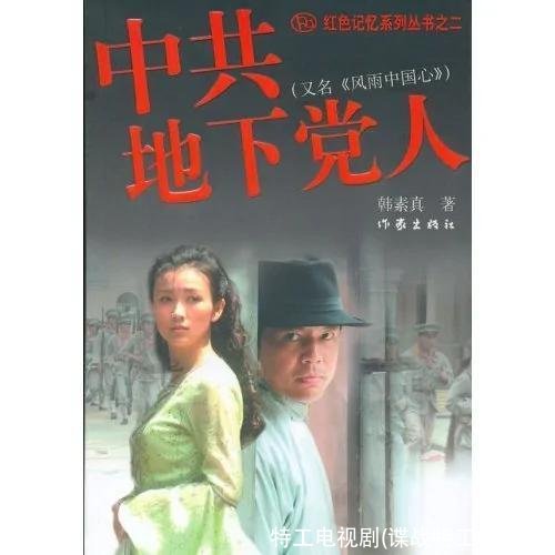 特工电视剧(谍战特工电视剧)