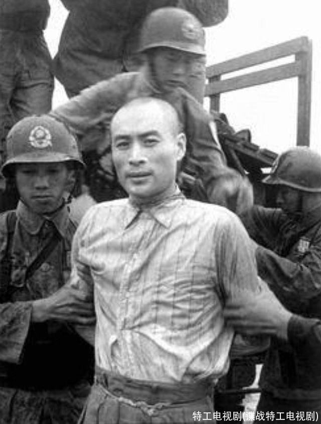 特工电视剧(谍战特工电视剧)