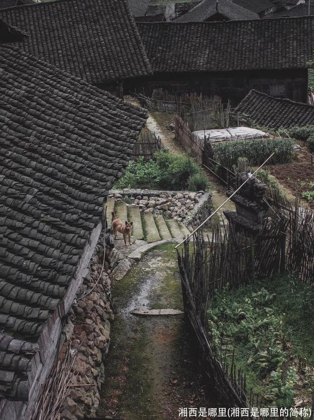 湘西是哪里(湘西是哪里的简称)