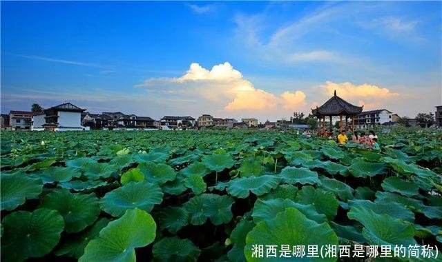 湘西是哪里(湘西是哪里的简称)