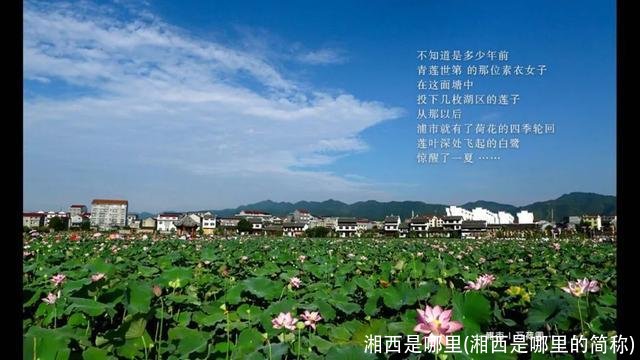 湘西是哪里(湘西是哪里的简称)