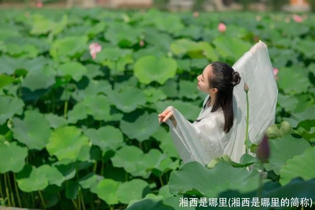 湘西是哪里(湘西是哪里的简称)