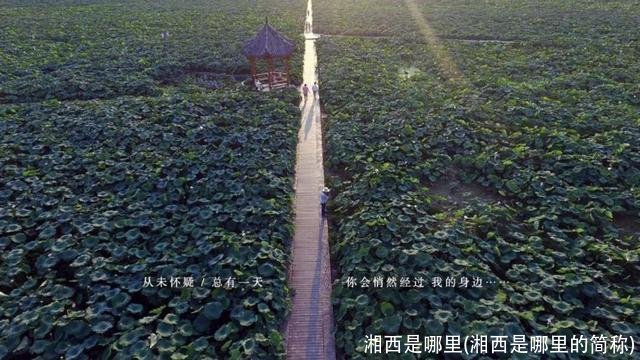 湘西是哪里(湘西是哪里的简称)