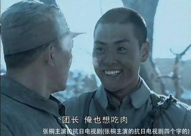 张桐主演的抗日电视剧(张桐主演的抗日电视剧四个字的)