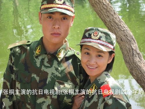 张桐主演的抗日电视剧(张桐主演的抗日电视剧四个字的)