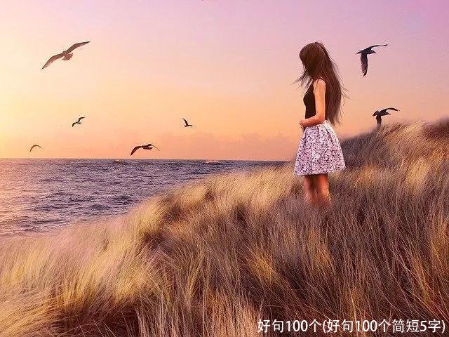 好句100个(好句100个简短5字)
