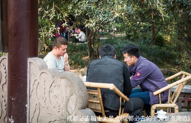 成都必去的十大景点(成都必去的十大景点周边)