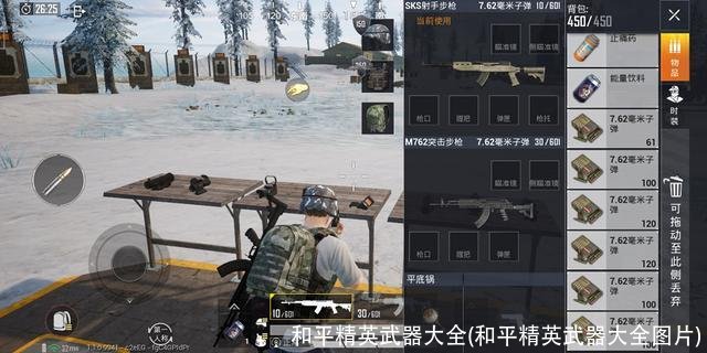 和平精英武器大全(和平精英武器大全图片)