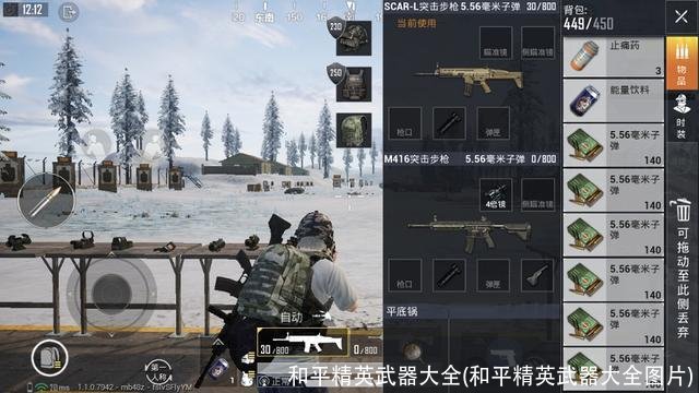 和平精英武器大全(和平精英武器大全图片)