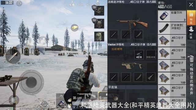 和平精英武器大全(和平精英武器大全图片)