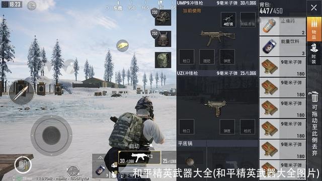 和平精英武器大全(和平精英武器大全图片)