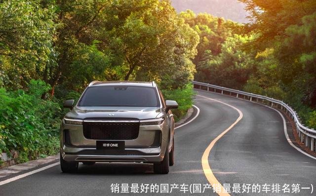 销量最好的国产车(国产销量最好的车排名第一)