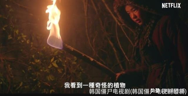 韩国僵尸电视剧(韩国僵尸电视剧最新)