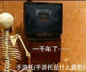 手游托(手游托是什么意思)