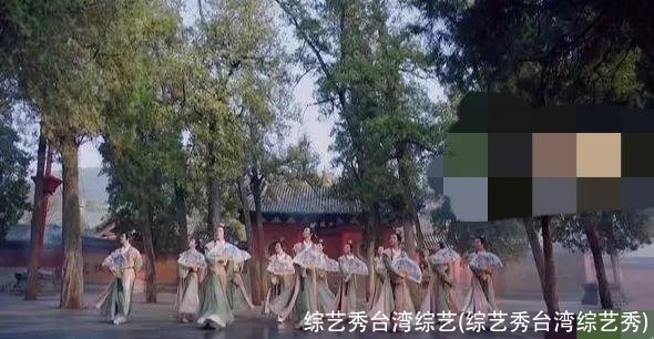 综艺秀台湾综艺(综艺秀台湾综艺秀)