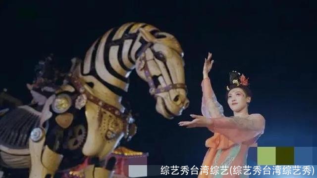 综艺秀台湾综艺(综艺秀台湾综艺秀)