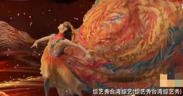 综艺秀台湾综艺(综艺秀台湾综艺秀)